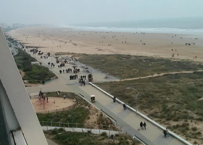 Tres Bel Acces Direct Sur Plage, Vue Sur - 2 Pieces - 4 Pers 아파트 생장드몽