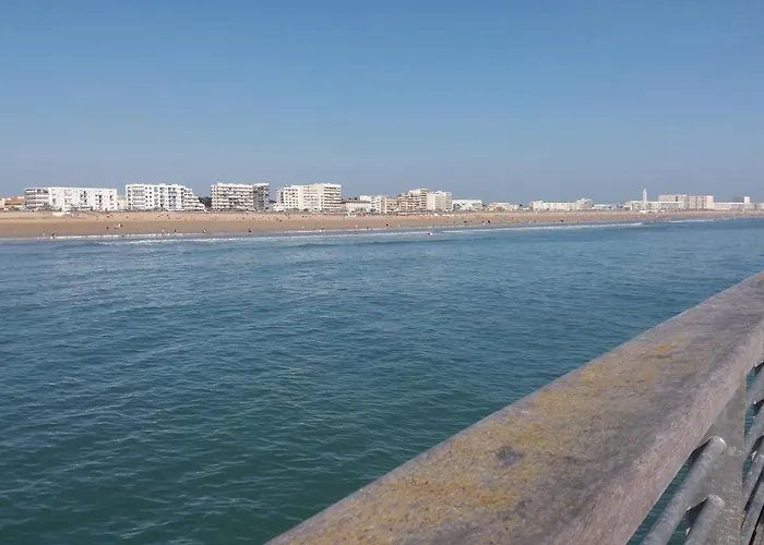 Tres Bel Acces Direct Sur Plage, Vue Sur - 2 Pieces - 4 Pers 아파트